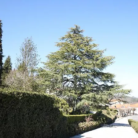 Casa Dos Arcos Agroturismo *