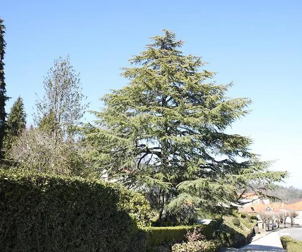 Casa Dos Arcos Séjour à la ferme *